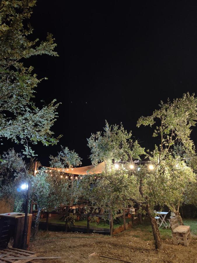Bed and Breakfast Casale Dei Ricordi Arce Exterior foto